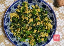 白菜炒鸡蛋的做法图解6