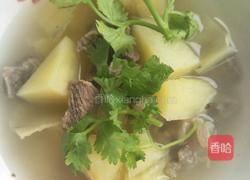 土豆牛肉汤的做法图解16
