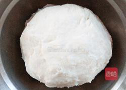 盘阳饼的做法图解4