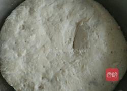 大头菜西葫芦青椒彩椒香菇木耳杂蔬包子的做法图解4