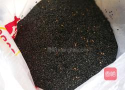 芝麻核桃粉的做法图解2