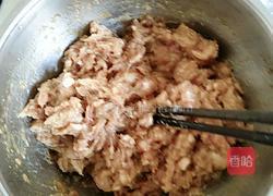 营养美味的燕麦南瓜豆角肉包子的做法图解4