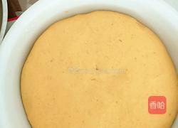 营养美味的燕麦南瓜豆角肉包子的做法图解6