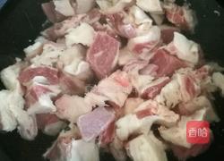 牛腩炖西红柿的做法图解4