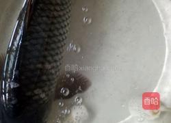 炖鱼的做法图解1
