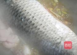 炖鱼的做法图解5