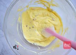 蔓越莓椰浆榜蛋糕的做法图解8