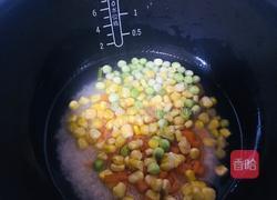 西红柿焖饭的做法图解2