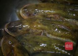 清炖楞蹦鱼（海鲶鱼）的做法图解1
