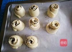 蜂蜜小软欧（波兰种）的做法图解12