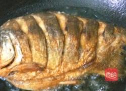 红烧鱼的做法图解6