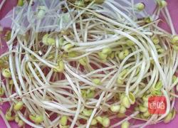 香辣豆芽菜的做法图解2