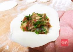 猪肉蒜苗水饺的做法图解10