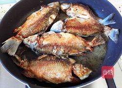 酱焖鲫鱼豆腐的做法图解5