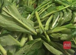 家常肉沫炒菜心的做法图解4