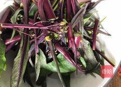 爆炒红菜苔的做法图解1