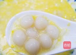 酒酿小丸子的做法图解20