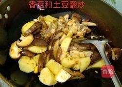 香菇土豆焖鸡块的做法图解5