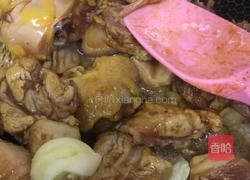 红烧土鸡的做法图解6