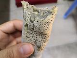 烘豆渣饼