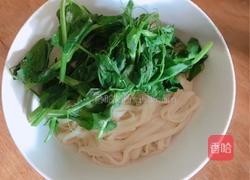 豌豆尖香菇酱拌面（香哈香菇酱）的做法图解10