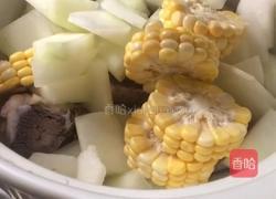冬瓜玉米排骨汤的做法图解6
