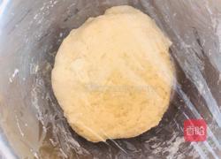 茴香牛肉包的做法图解3