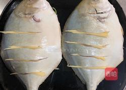  清蒸金鲳鱼的做法图解2