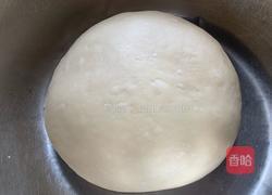 汤种葡萄干吐司的做法图解11