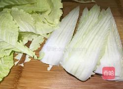 花式白菜酿肉的做法图解5