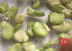 蒸蚕豆的做法图解4