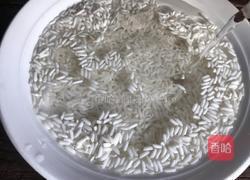 艾叶蒸糯米饭的做法图解2