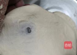 一发（无蛋玉米油版）牛奶土司的做法图解8