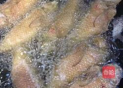 油煎莺歌鱼的做法图解5