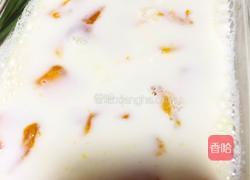 芒果布丁的做法图解4