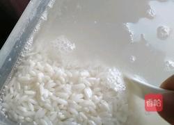 原味粽子（无糖孕妇版）的做法图解1
