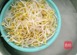 香辣黄豆芽的做法图解4