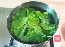 桑叶手擀面的做法图解3