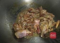 茶树菇焖鸡肉的做法图解4