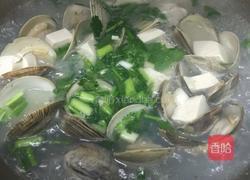 百贝豆腐汤的做法图解3