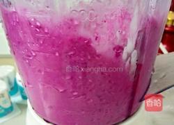 火龙果酸奶昔的做法图解4