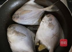 红烧鲳鱼的做法图解4