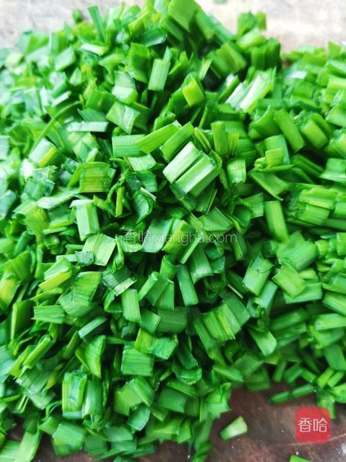 切韭菜