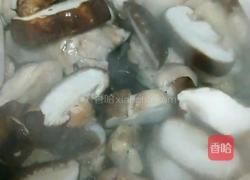 啤酒蘑菇鸡的做法图解8