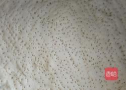 非烤箱披萨(不粘锅披萨）的做法图解5