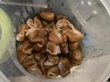 卤肥肠