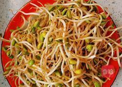 素炒豆芽的做法图解1