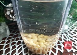 豆浆的做法图解2