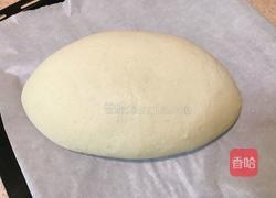 燕麦软欧包（波兰种）的做法图解11