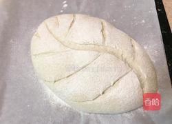 燕麦软欧包（波兰种）的做法图解13